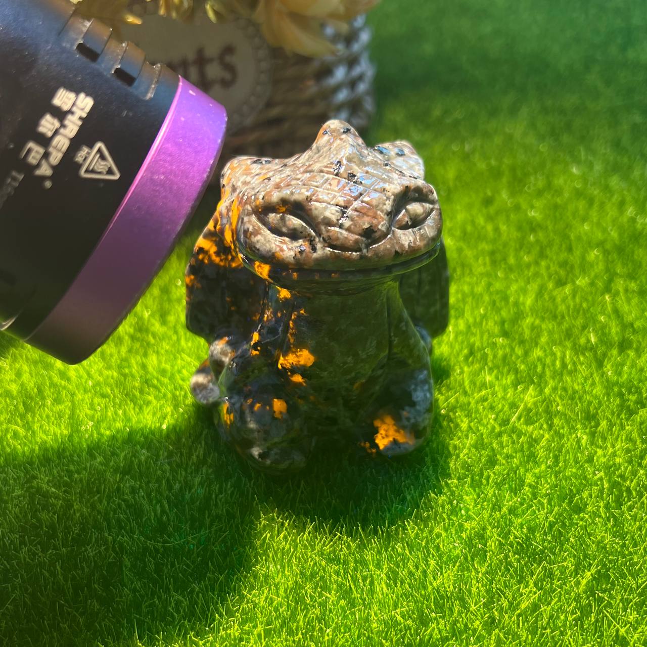 Volcanic toothless