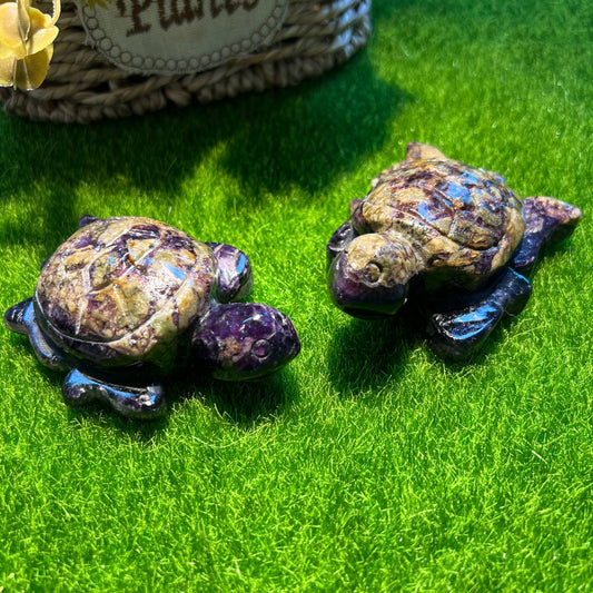 Fluorite turtle