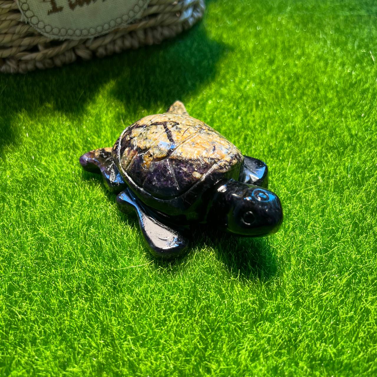 Fluorite turtle