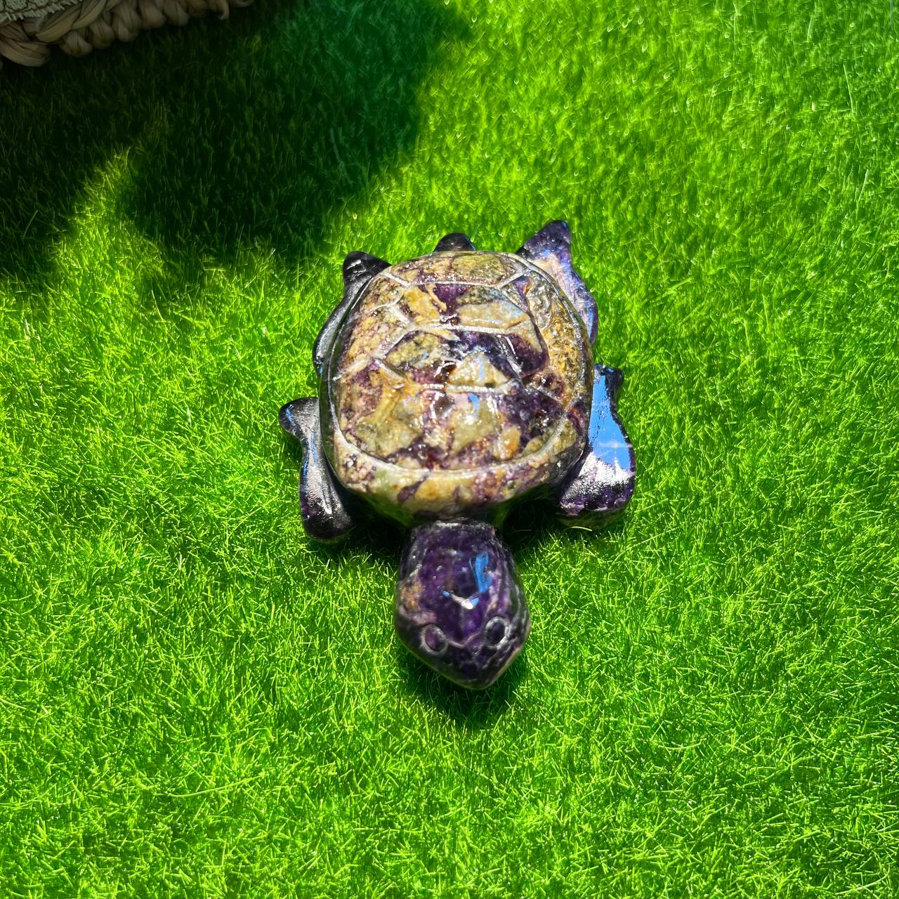 Fluorite turtle