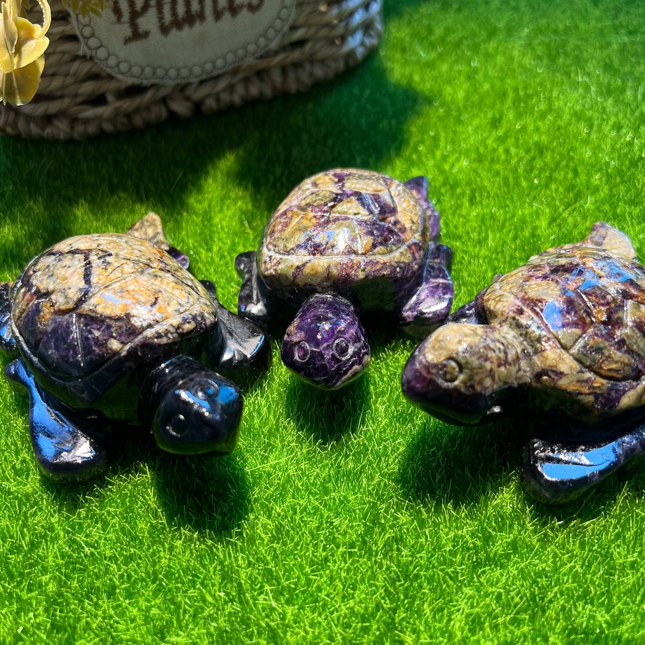 Fluorite turtle