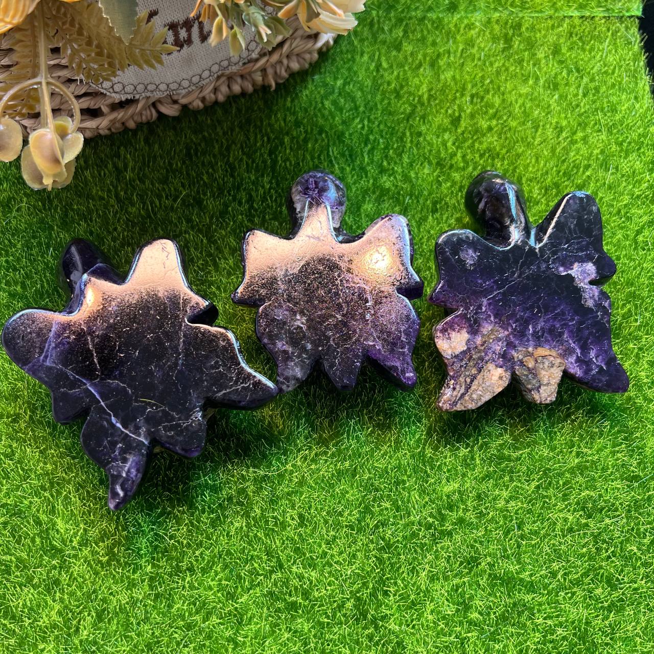 Fluorite turtle