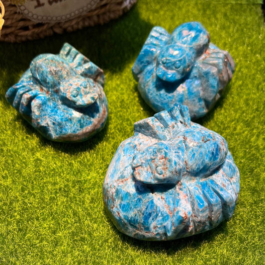 Blue Appetite
