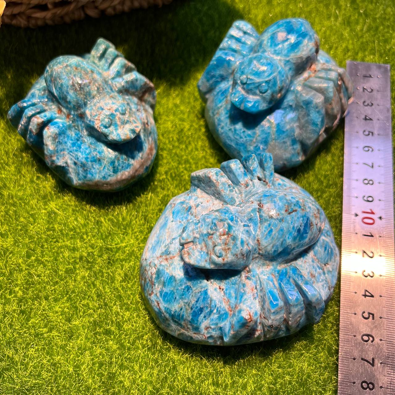 Blue Appetite