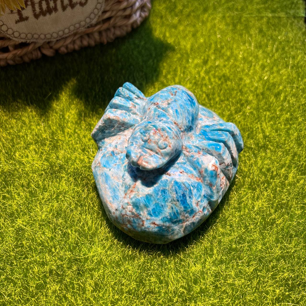 Blue Appetite
