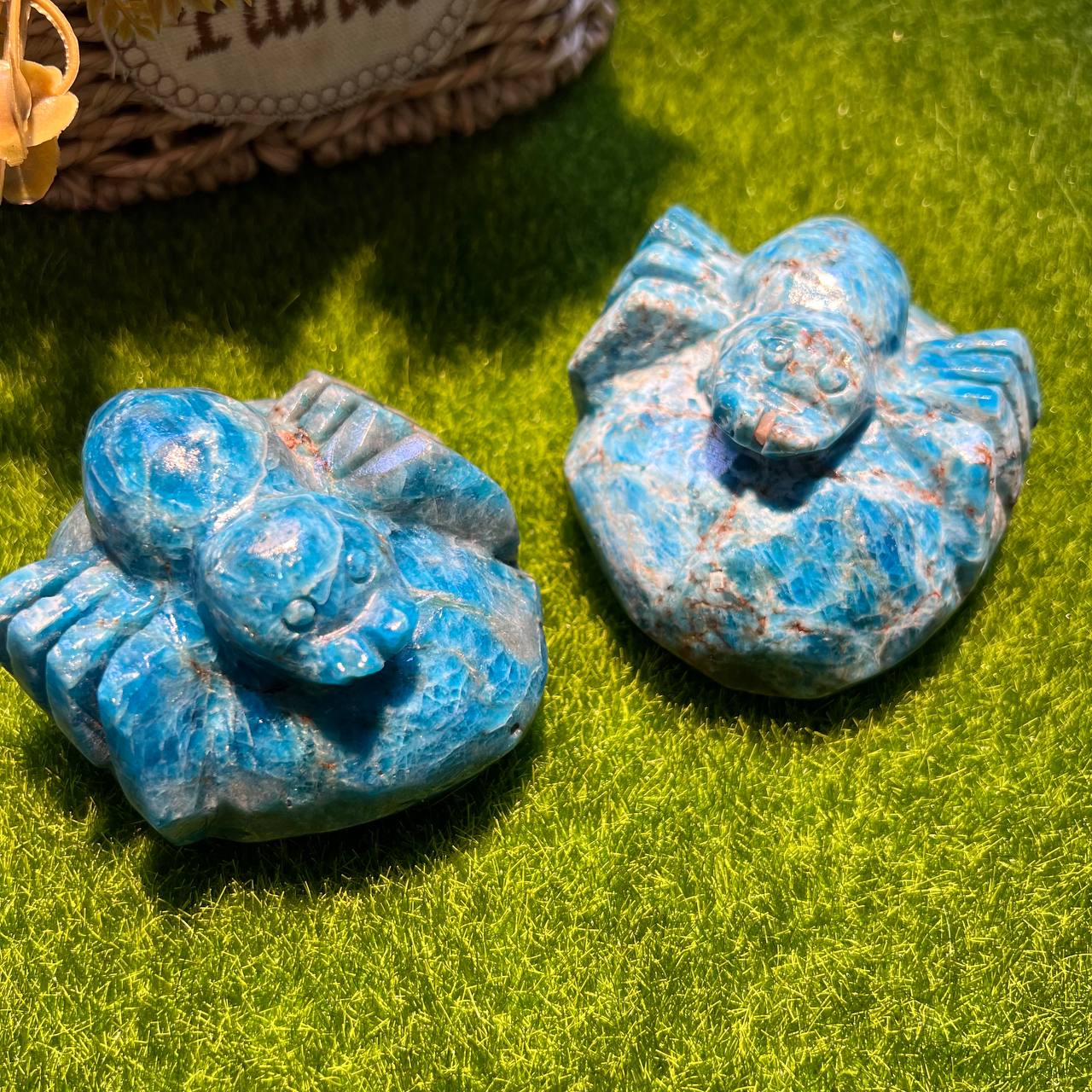 Blue Appetite