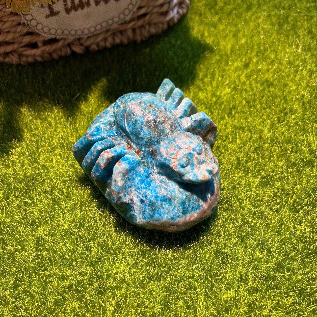 Blue Appetite