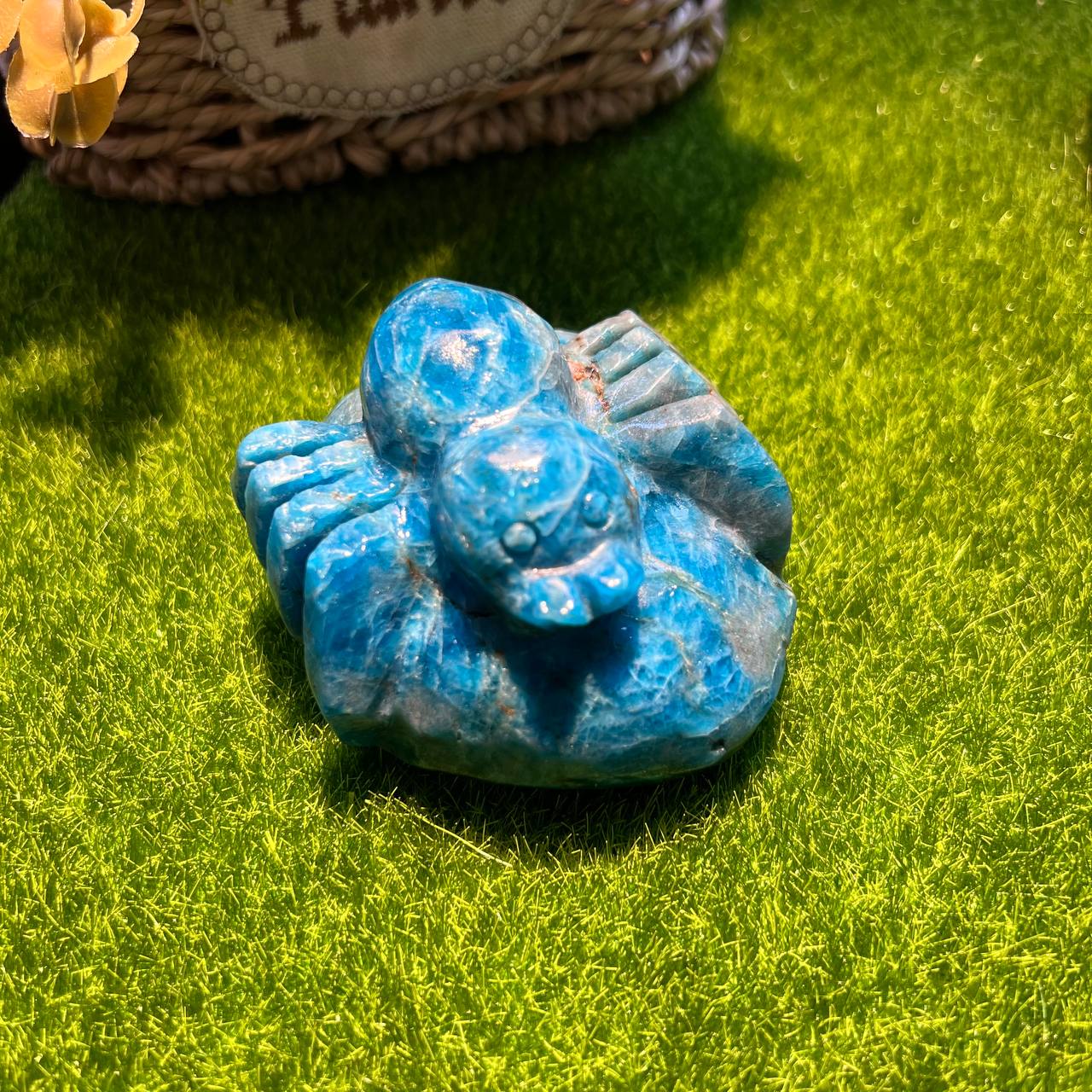 Blue Appetite