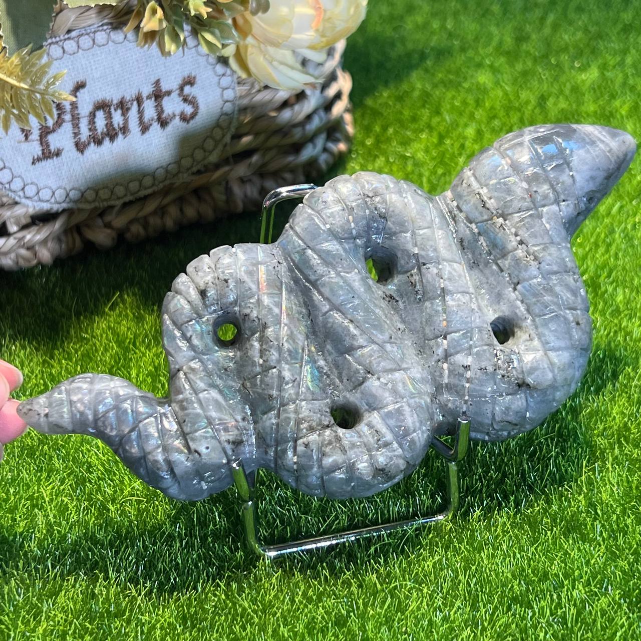 Labradorite python