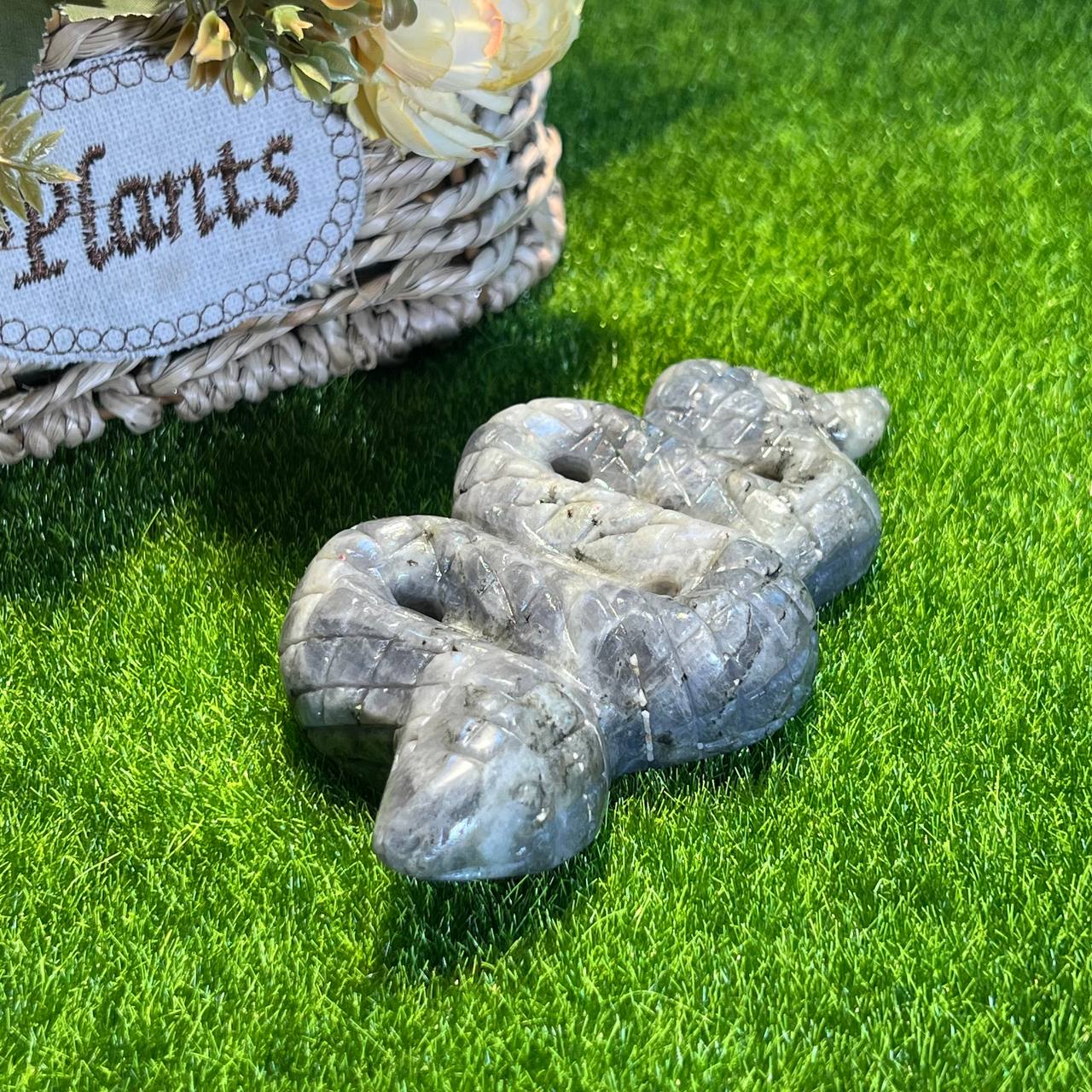 Labradorite python