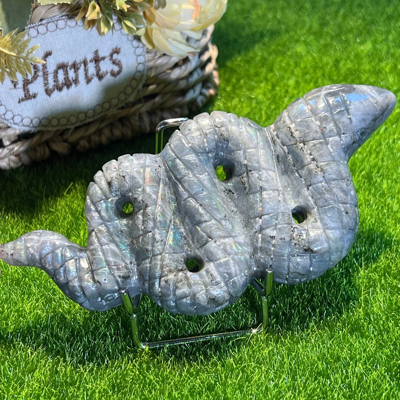 Labradorite python
